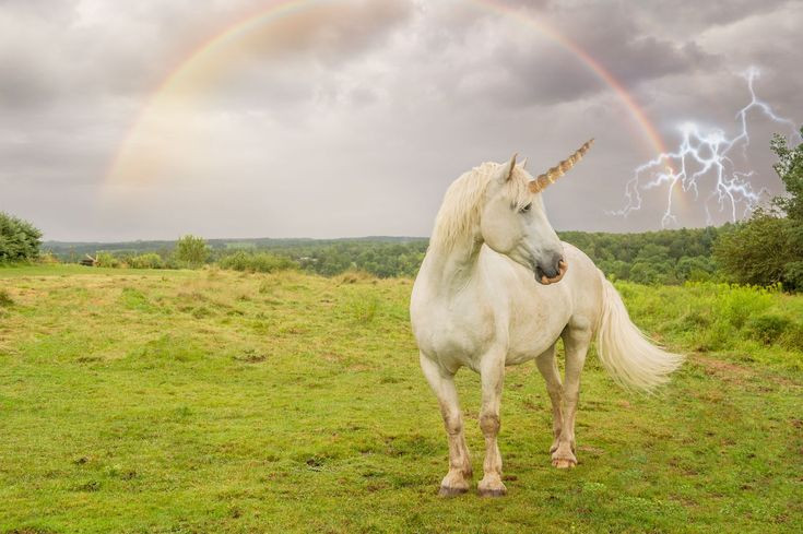  Ngày lễ dành riêng cho kỳ lân. Ngày 9 tháng 4 hàng năm là Ngày Kỳ Lân Quốc Tế (National Unicorn Day), được tổ chức để tôn vinh loài sinh vật huyền thoại này. Ảnh: Pinterest.