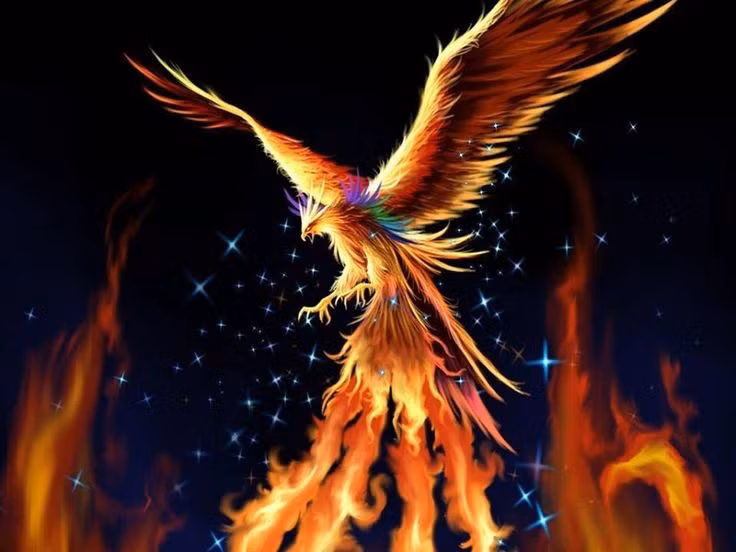  5. Có vòng đời kéo dài hàng trăm đến hàng nghìn năm. Một số truyền thuyết nói rằng phượng hoàng sống từ 500 đến 1.400 năm trước khi tự thiêu để tái sinh. Ảnh: Pinterest.