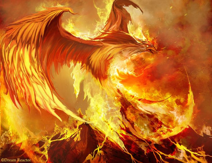  4. Nước mắt của Phượng hoàng có thể chữa lành mọi vết thương. Nước mắt của phượng hoàng có khả năng chữa lành vết thương và thanh lọc độc tố. Điều này được nhắc đến trong truyện Harry Potter với chim phượng hoàng Fawkes. Ảnh: Pinterest.