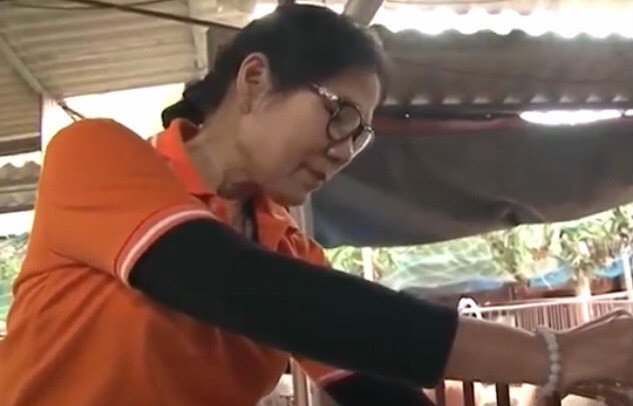 Nuoi lon hoang gia nghe nhac Phap, ngam hoa hong, loi nhuan hang tram trieu moi nam