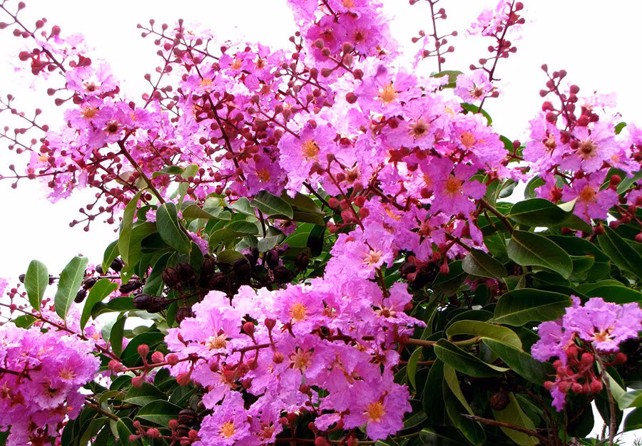 Chong sap cuoi muon dung lai giuong tan hon cua nguoi yeu cu