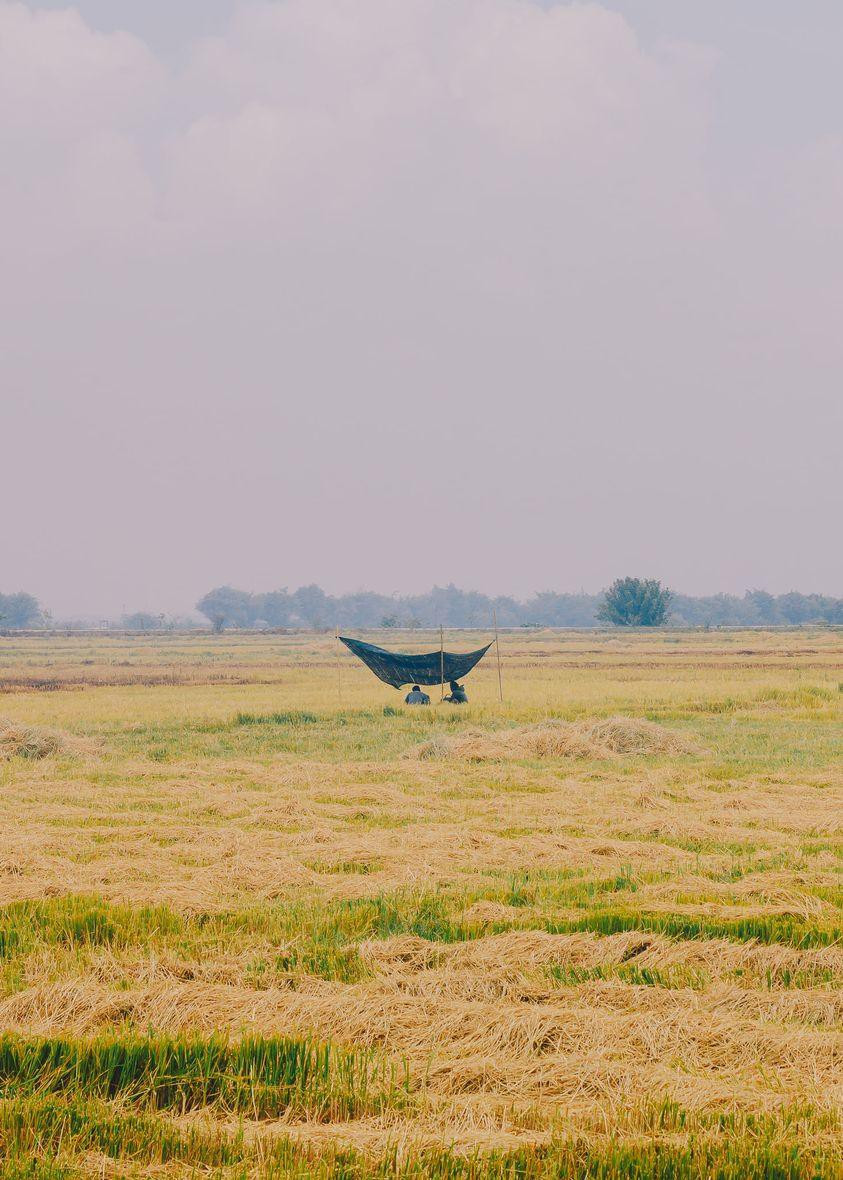 Ngam bo anh lang que mien Trung cua chang trai 9X-Hinh-4