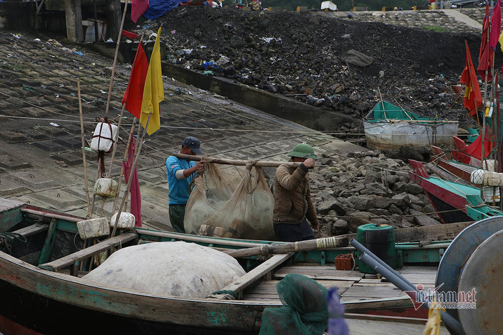 Ngư dân xã Thịnh Lộc (huyện Lộc Hà) dùng thuyền công suất nhỏ để đánh cá trích, cá đục