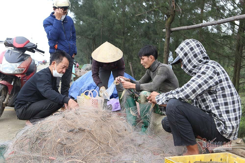 Sau khi về đất liền, giá cá đục dao động từ 50.000-60.000 đồng/kg tùy kích cỡ, mỗi chủ tàu thu về từ 3-6 triệu đồng, trừ chi phí cho thu nhập từ 500.000-2 triệu đồng/người/ngày.