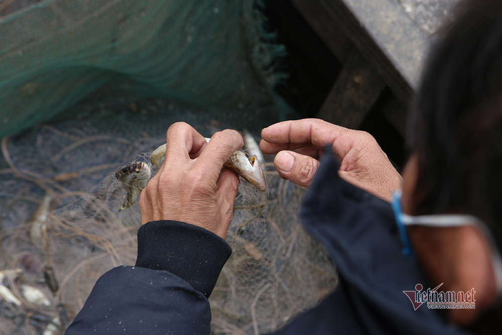 Số hải sản sau khi đánh bắt được sẽ gỡ bán lẻ, hoặc được thương lái thu mua. Theo người dân, mỗi chuyến lãi ít nhất 1 triệu đồng