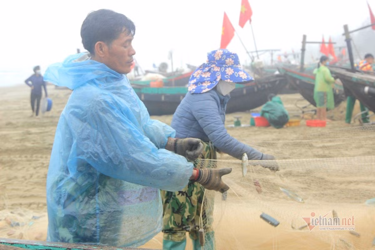 Ngư dân cho biết, họ ra khơi lúc 4h sáng. Để đánh bắt cá trích, ngư dân đi đánh cách bờ khoảng 2-3 hải lý. Những ngày đầu năm, thời tiết ở Hà Tĩnh khá thuận lợi nên mỗi chuyến ra khơi, ngư dân đều trúng đậm cá, tôm.