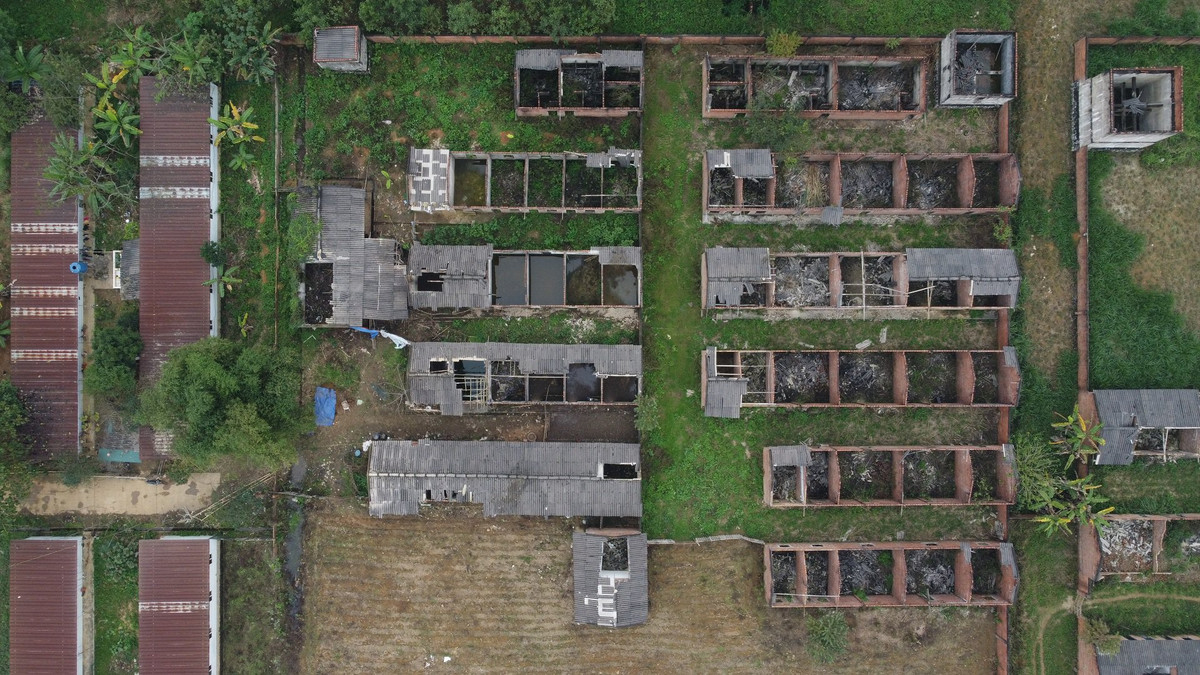 Du an nha may xi mang 1.400 ty dong thanh noi chan tha trau bo