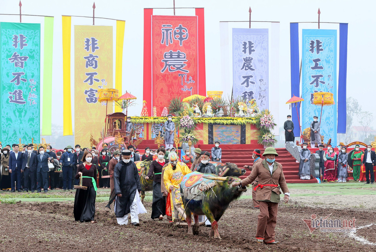 Chu tich nuoc xuong dong cay ruong o le Tich dien-Hinh-9