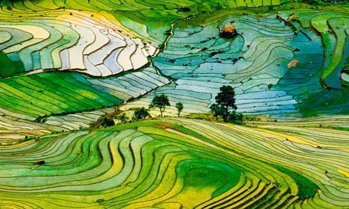 Trang Mother Nature đánh giá ruộng Bậc thang Sa Pa lọt top 30 điểm đến đẹp nhất thế giới.