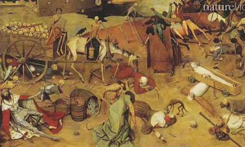 Bọ chét sống trên chuột nhiễm bệnh là mầm bệnh, lây truyền dịch bệnh cho con người. Người dân thời đó cho rằng, đại dịch kinh hoàng trên bắt nguồn từ châu Á và lan sang châu Âu thông qua các tàu thuyền thương mại.