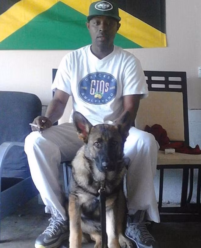 Chú chó Noah bên cạnh chủ.