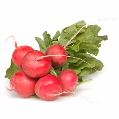 Củ cải đỏ là loài chống táo bón và trĩ cực tốt. Lượng chất xơ giàu có trong củ cải giúp cho các chất thải tống ra khỏi ruột dễ dàng hơn.