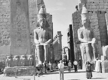 Việc giải mã thành công bia đá Rosetta còn giúp các chuyên gia hiểu được ngôn ngữ tượng hình cổ xưa trong các văn bản bằng tiếng Ai Cập cổ và tiếng Hy Lạp cổ.