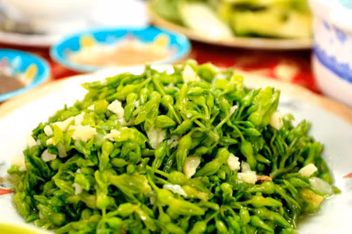 Dân gian có câu "thập nhân cửu trĩ", cho thấy mức độ phổ biến của căn bệnh này. Cách chữa bệnh trĩ bằng thuốc nam được nhiều người lựa chọn là món canh bông lý: Bông lý 150g, tôm sú lột vỏ 50g, đậu hũ 50g thêm hành gia vị vừa đủ nấu canh ăn.