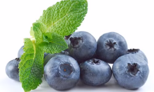 Việt quất luôn là một trong những thức ăn tốt, đặc biệt là những người mắc trĩ.