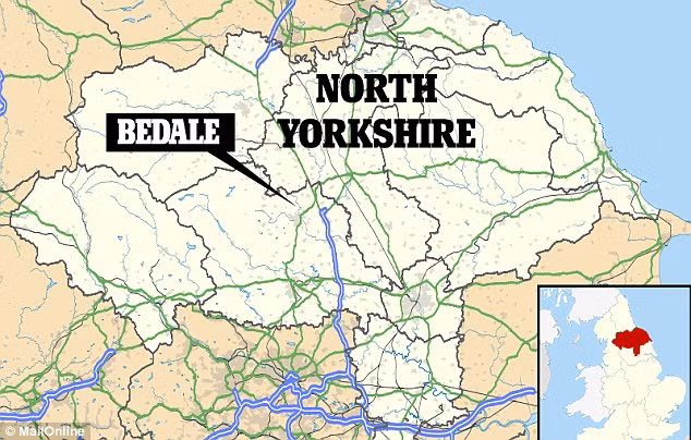 Natalie McCaul, người phụ trách tại Hội đồng khảo cổ học York cho biết: "Đây là lần số kho báu trên được bảo tồn để chúng ta có thể nhìn thấy vẻ đẹp thực sự của những báu vật đó và nghề thủ công tuyệt vời đã tạo ra những hiện vật này. Trong đó, chuôi kiếm Anglo Saxon có lẽ là hiện vậy ấn tượng nhất. Nó dường như bị người Viking lấy đi".