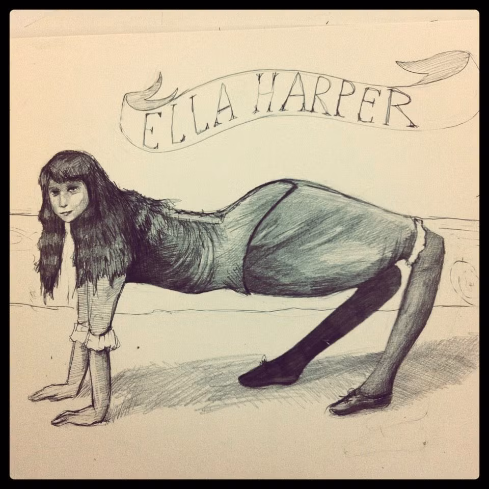 Khi "cô gái lạc đà" giải nghệ, người ta cho hay cô đã bắt đầu việc học tập và đến trường.