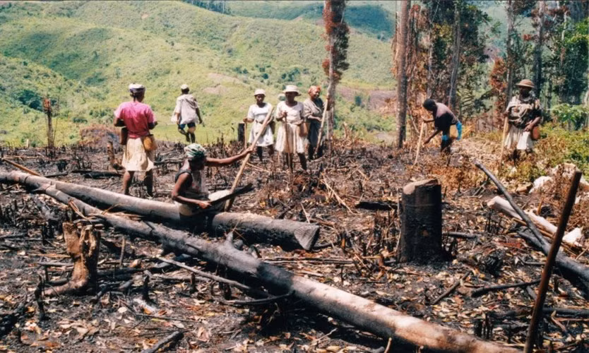 3. Cuộc diệt chủng Đông Timor diễn ra từ năm 1975 - 1979 đã cướp đi sinh mạng của khoảng 200.000 người. Đến năm 1999, nạn diệt chủng trên lại diễn ra một lần nữa.