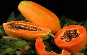 Hay một món sinh tố trái cây để chữa trĩ đơn giản: Đu đủ chín 50g, hồng xiêm chín 50g, dâu tây 50 xay sinh tố uống ngày 1 - 2 lần. Ngoài ra, tăng cường ăn các món khác chế biến chủ yếu có nhiều rau như dấp cá, rau diếp, rau đắng, giá đậu, mồng tơi, rau đay, rau lang, đậu bắp và trái cây tươi đều tốt. Hoặc có thể làm món đu đủ hầm để chữa trĩ: Đu đủ ương 150g, trực tràng heo 100g làm sạch cắt khúc, gia vị gừng hành vừa đủ hầm ăn.