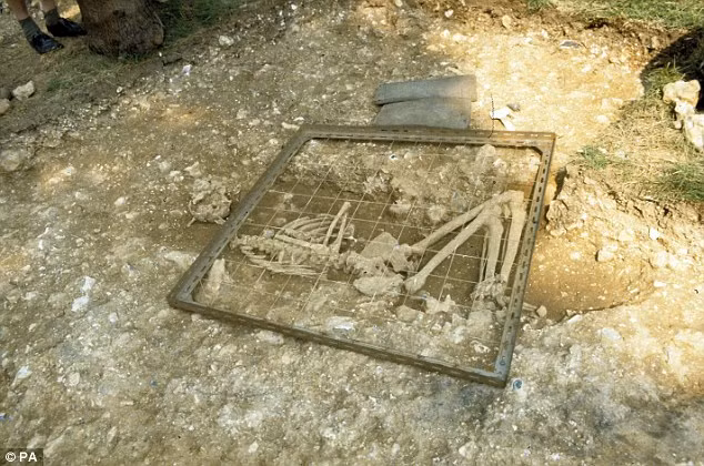 Nhà khảo cổ học James Kenny tiết lộ bộ xương trên là của một người đàn ông. Vào thời điểm tử vong, người này khoảng ít nhất 45 tuổi. Thêm vào đó, người này sở hữu thân hình to lớn, vạm vỡ khi sở hữu chiều cao khủng 1m82. Thông qua con dao găm, rất có thể người này là một lãnh đạo của bộ tộc.