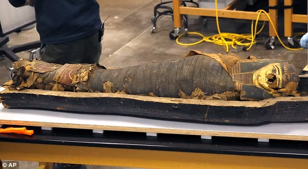 Các chuyên gia ở Bảo tàng Field, Chicago đã vô cùng cẩn thận khi mở nắp quan tài để tránh làm ảnh hưởng đến sự nguyên vẹn của xác ướp.