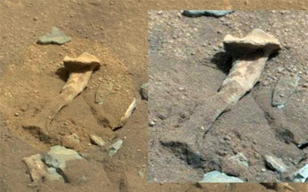 Bí ẩn bộ xương dài gần 2m nghi của người ngoài hành tinh - Hình 2 Bi an bo xuong dai gan 2m nghi cua nguoi ngoai hanh tinh-Hinh-2