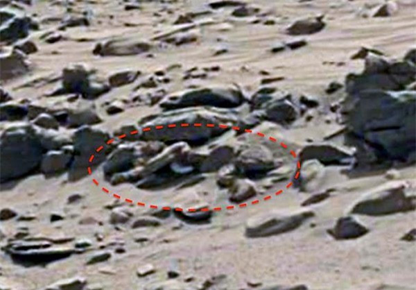 Bí ẩn bộ xương dài gần 2m nghi của người ngoài hành tinh Bi an bo xuong dai gan 2m nghi cua nguoi ngoai hanh tinh