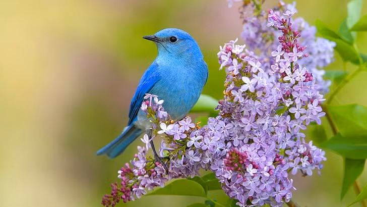 Ai sinh ngay Am lich nay tung buoc thang tien, quy nhan chong lung-Hinh-3