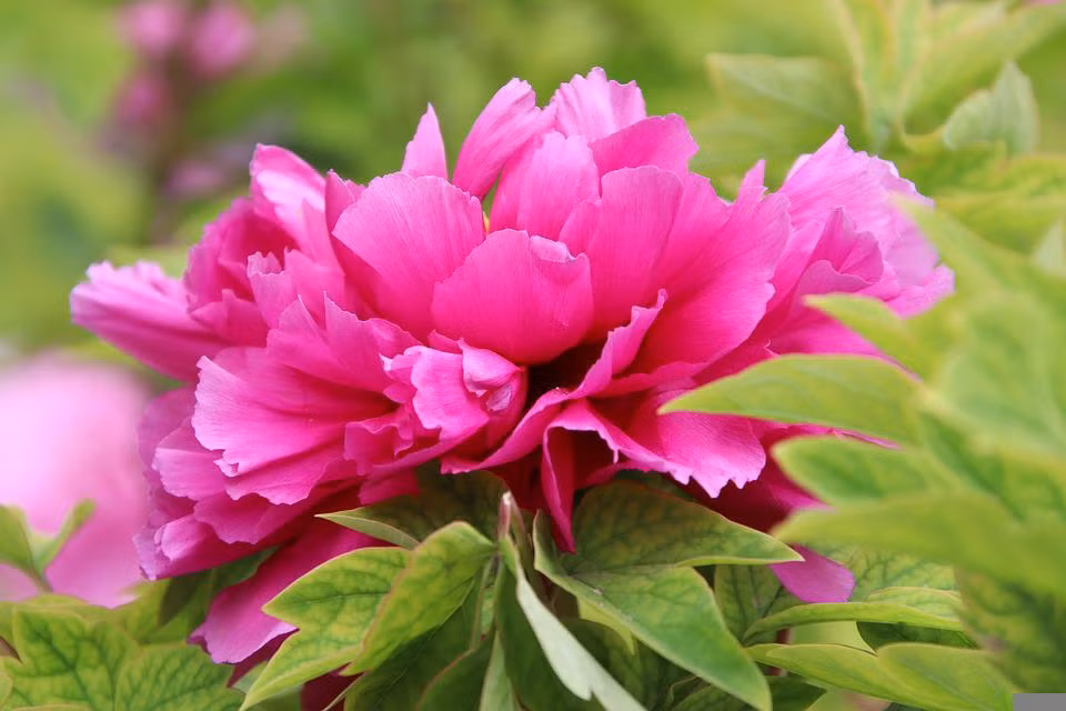 Sinh ngay Am lich nay cuoi 2022 don may man, thu thai cho tang chuc