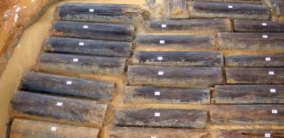 Ham mo nghin nam tuoi 46 co gai bi chon vui khien gioi chuyen mon khiep so-Hinh-2