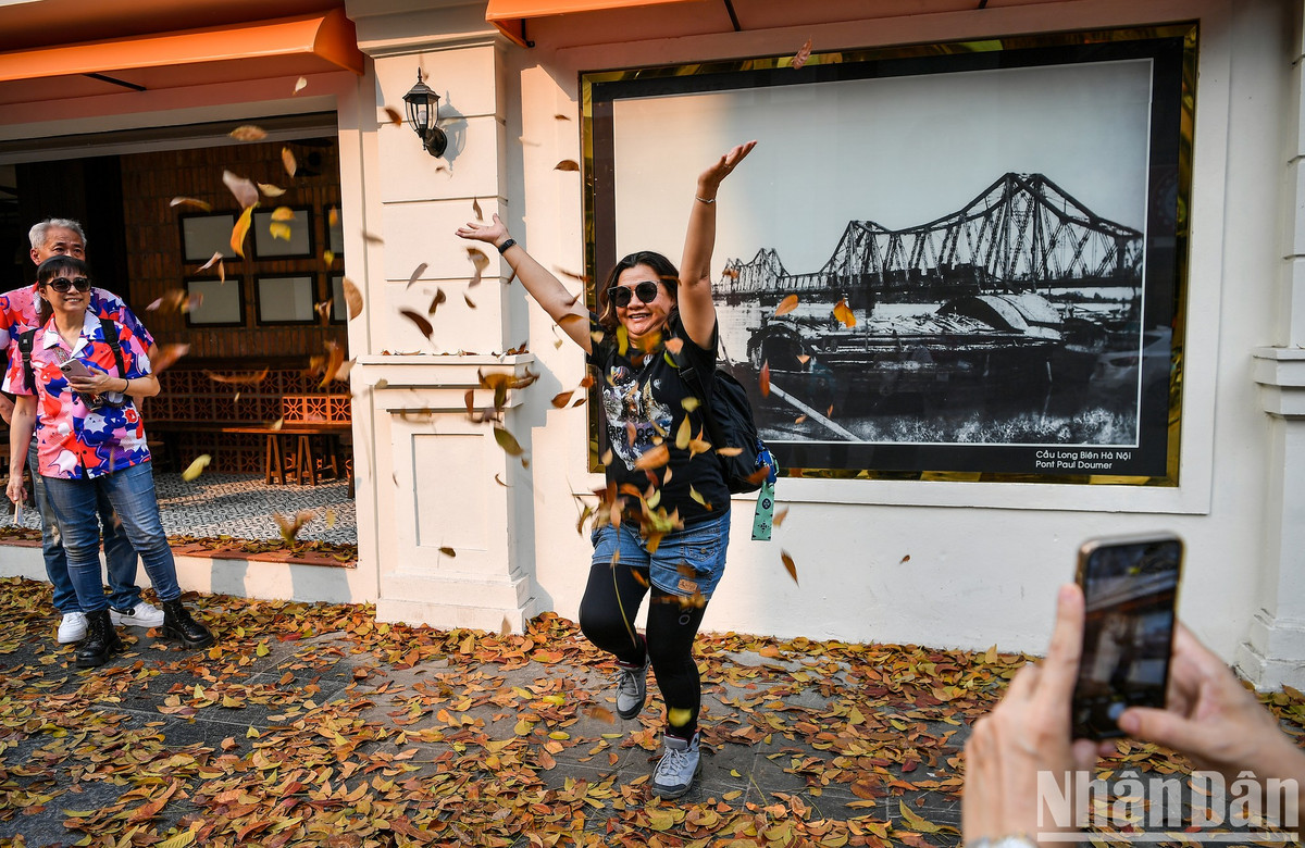 Nữ du khách người Singapore chia sẻ: "Thật hạnh phúc khi tôi có cảm nhận như đang đắm chìm trong mùa thu lá vàng tại châu Âu".