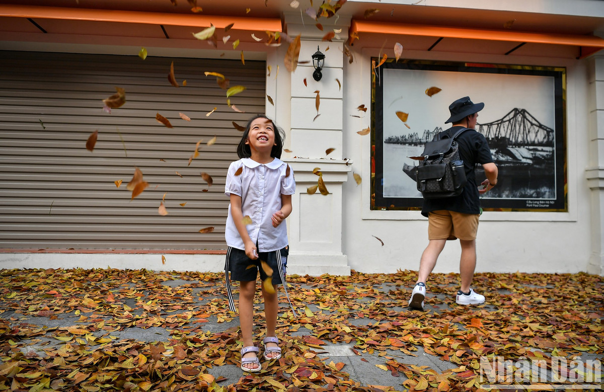 Niềm vui của các em nhỏ khi được cảm nhận vẻ đẹp của thiên nhiên ngay trên góc phố quen thuộc.