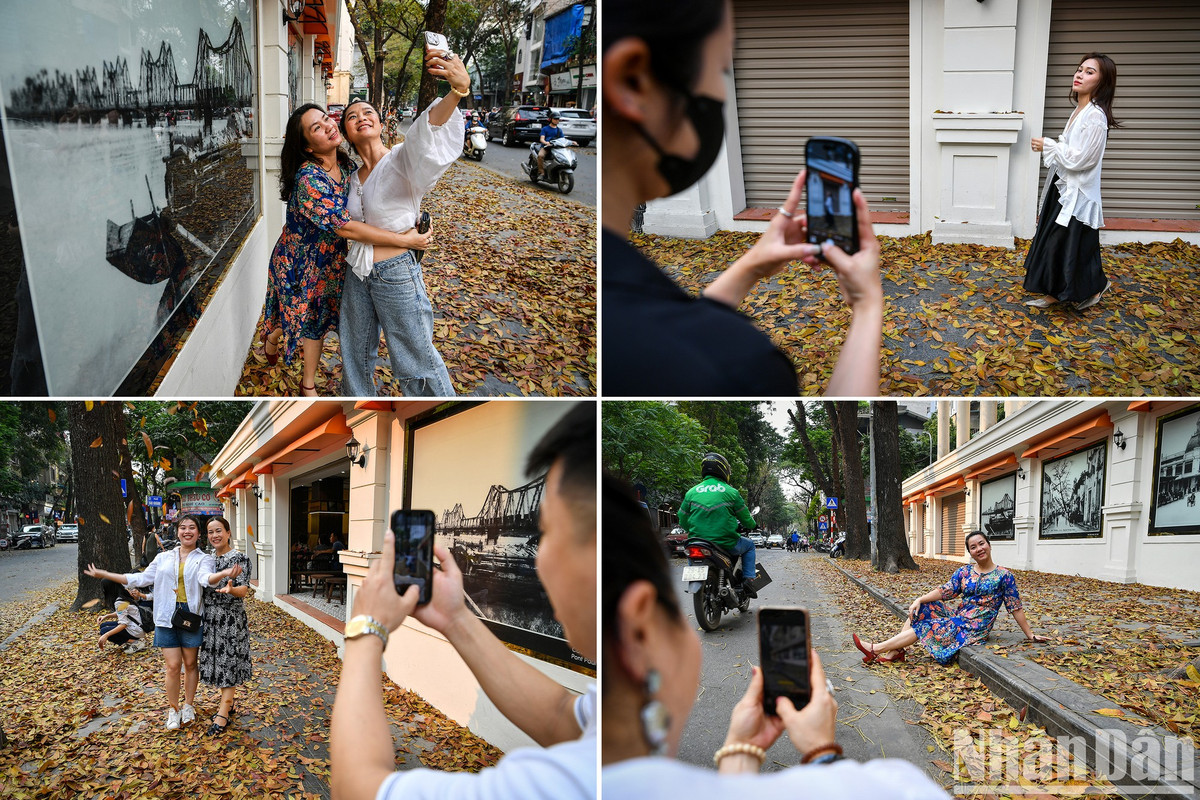 Những bức hình Hà Nội xưa trên tường và con phố đầy lá vàng tạo nên không gian lãng mạn giữa phố phường tấp nập.