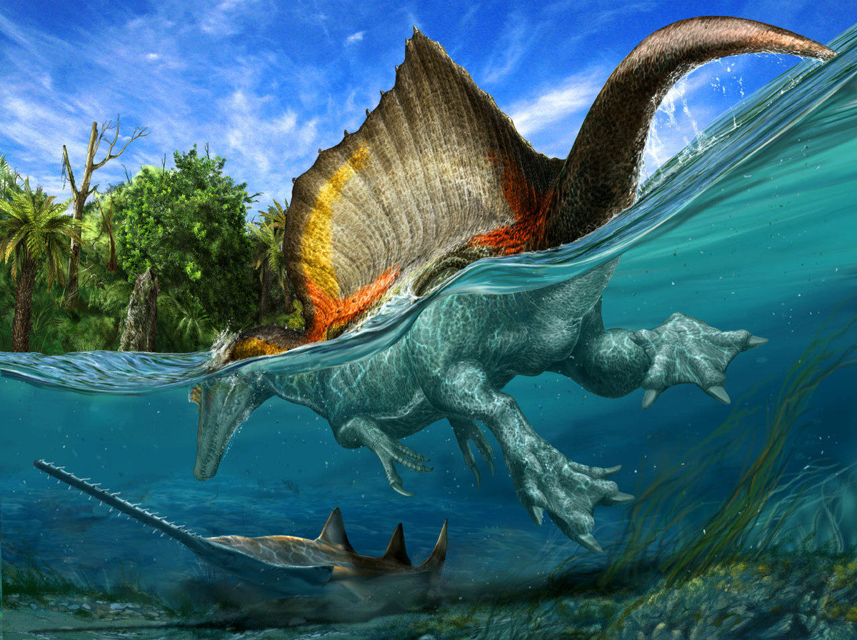 Hình ảnh phục dựng loài khủng long Spinosaurus aegyptiacus