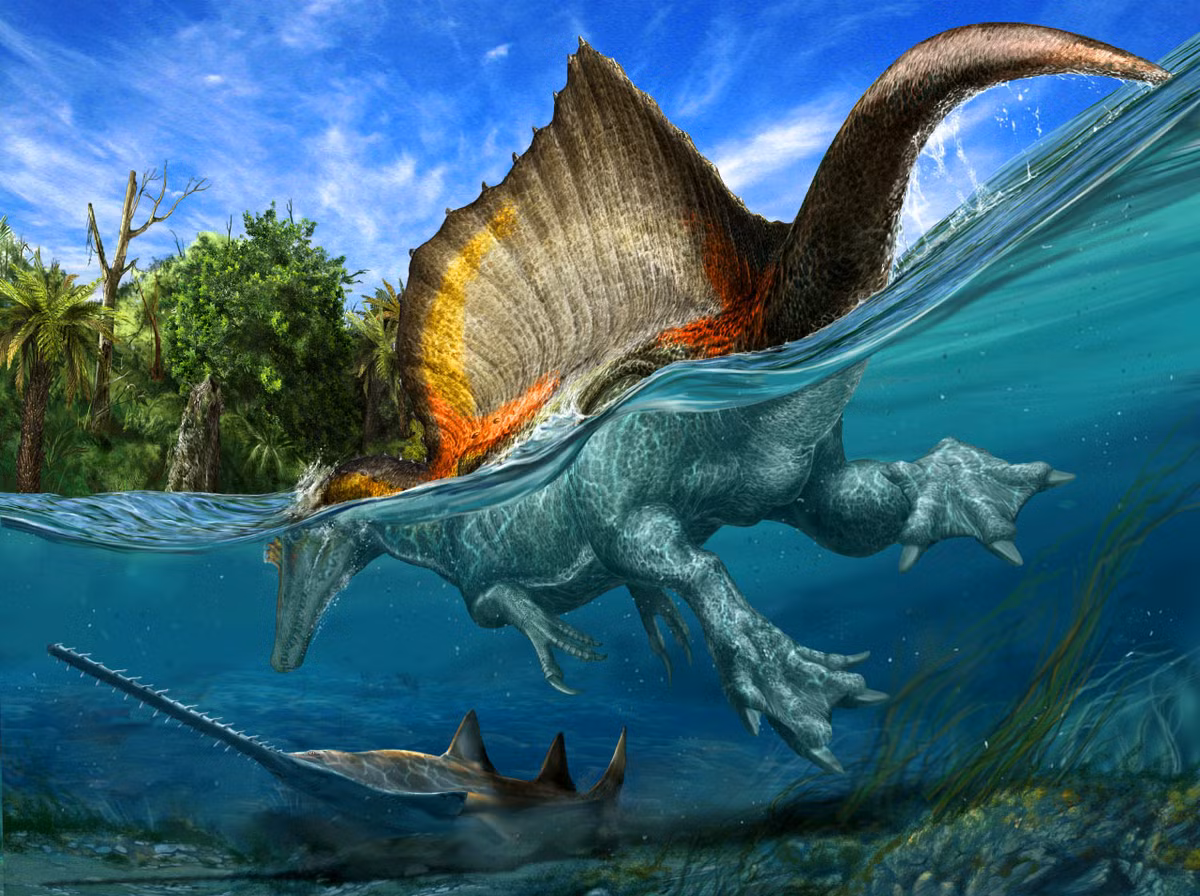 Hình ảnh phục dựng loài khủng long Spinosaurus aegyptiacus