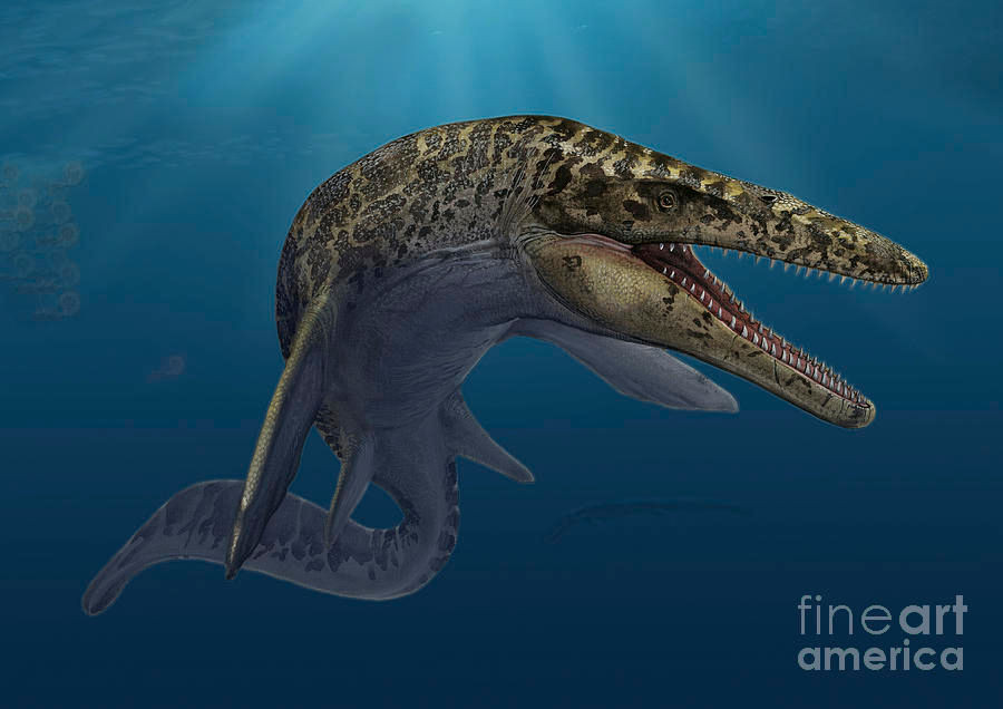 Hình ảnh phục dựng loài thương long Prognathodon anceps. Ảnh: Toptrilos.
