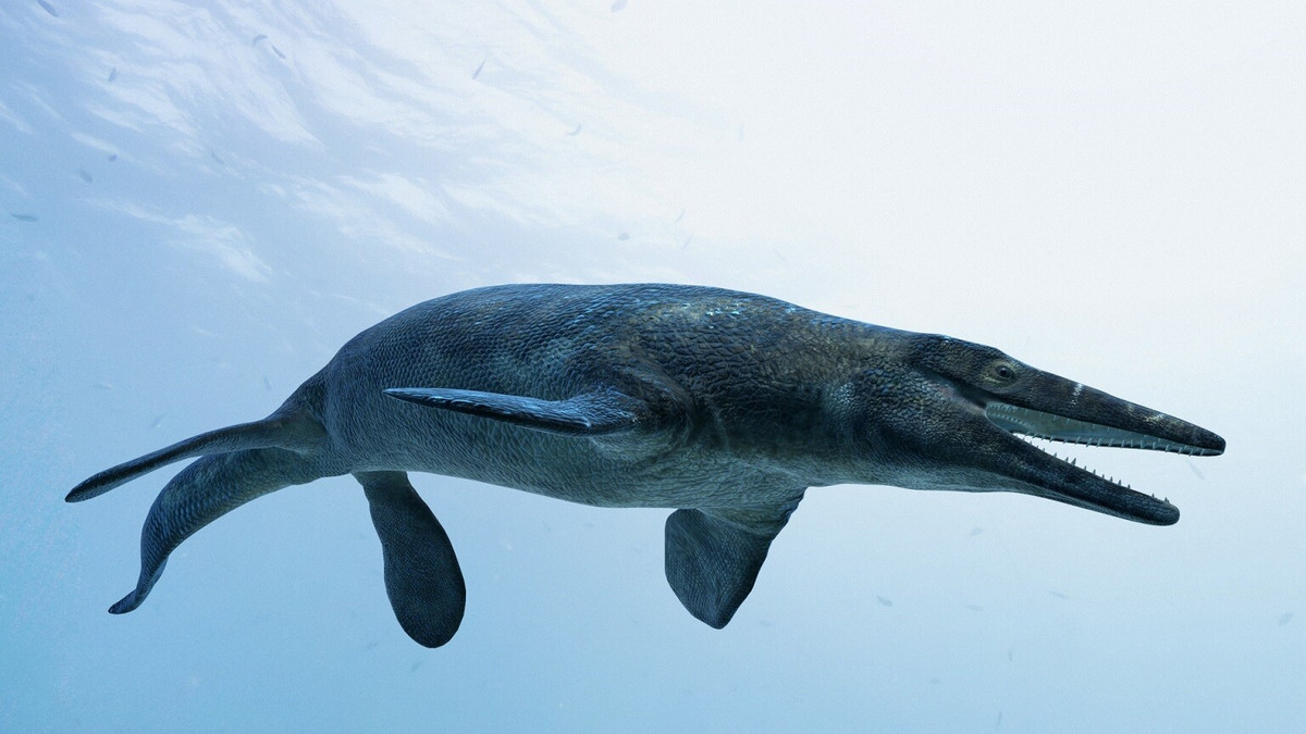 Hình ảnh phục dựng loài thương long Halisaurus. Ảnh: Fabio Manucci.