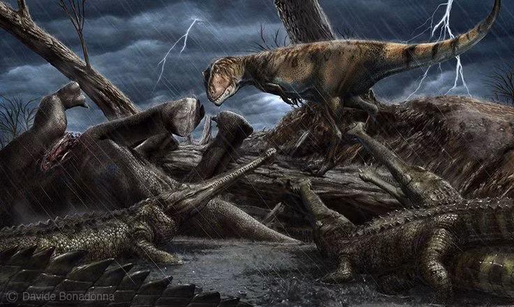 Hình ảnh phục dựng loài cá sấu Elosuchus. Ảnh: Pinterest.