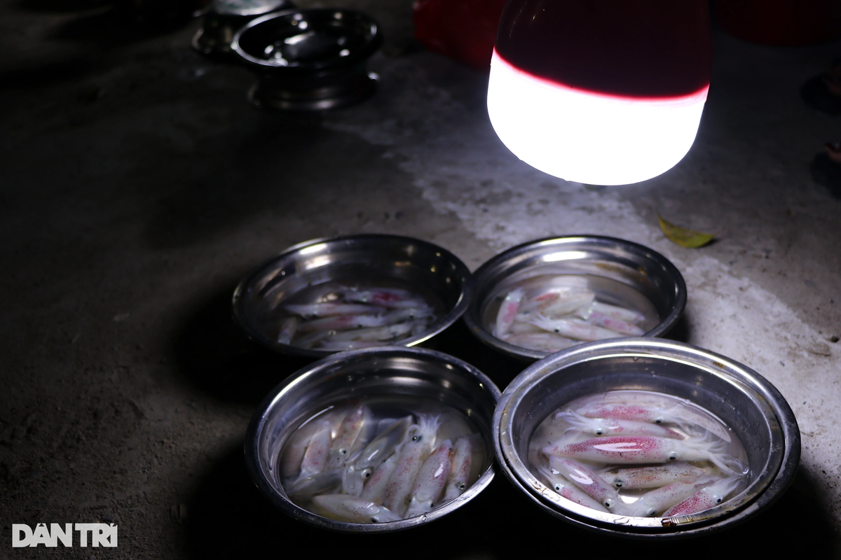 Doc dao phien cho chi ban 1 thu, khong dung can, khong co gia-Hinh-2