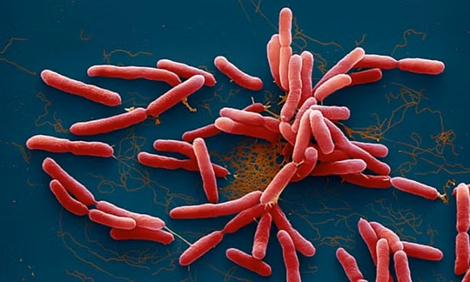 Phat hien benh nhan nhiem “vi khuan an thit nguoi” tai Buon Ma Thuot