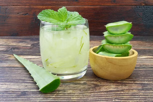 Lô hội không chỉ có thể được sử dụng để điều trị các bệnh thông thường như bệnh ngoài da và bỏng mà còn có thể giúp tiêu hóa, giải độc và làm đẹp. Lá lô hội chứa nhiều chất dinh dưỡng như vitamin, axit amin,… có tác dụng chăm sóc sức khỏe tốt cho cơ thể con người. 