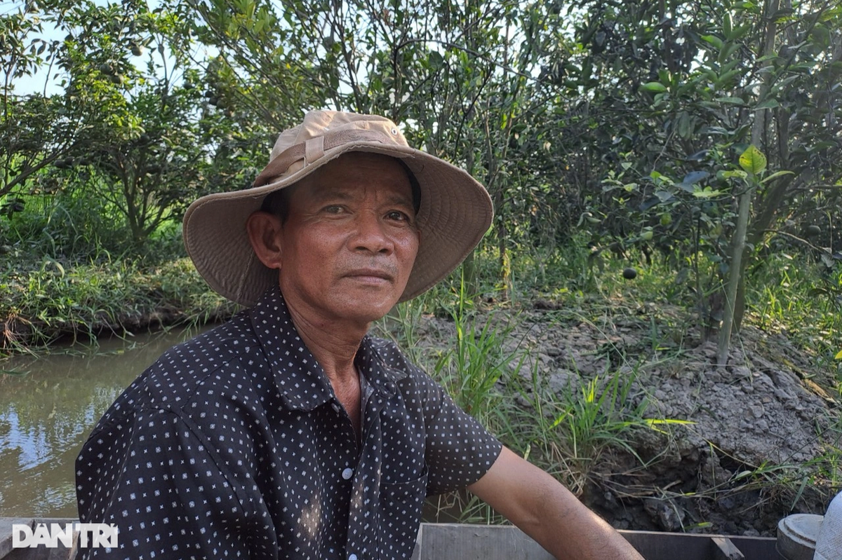 Lão nông nhận bi kịch tê tái sau 4 năm thuê đất trồng cam Lao nong nhan bi kich te tai sau 4 nam thue dat trong cam