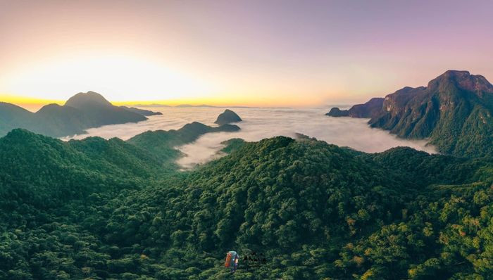 Nam Kang Ho Tao thuộc bản Thào, xã Hố Mít, huyện Tân Uyên, Lai Châu. Với độ cao 2881 m với những con suối và những ngọn thác rêu phủ kín là điểm nhấn làm thu hút khách tham quan