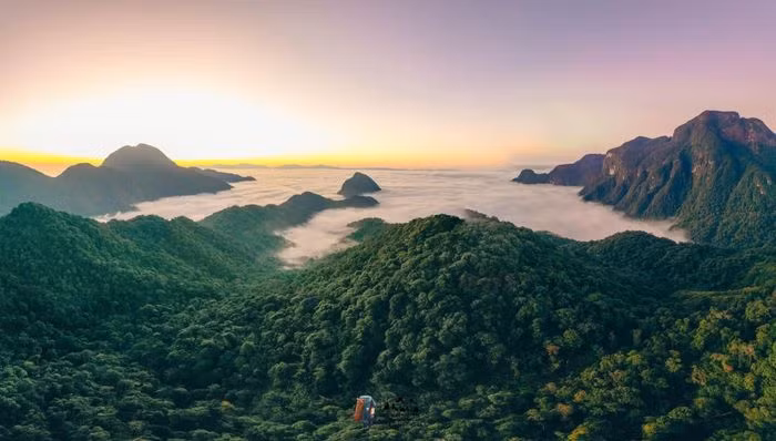 Nam Kang Ho Tao thuộc bản Thào, xã Hố Mít, huyện Tân Uyên, Lai Châu. Với độ cao 2881 m với những con suối và những ngọn thác rêu phủ kín là điểm nhấn làm thu hút khách tham quan