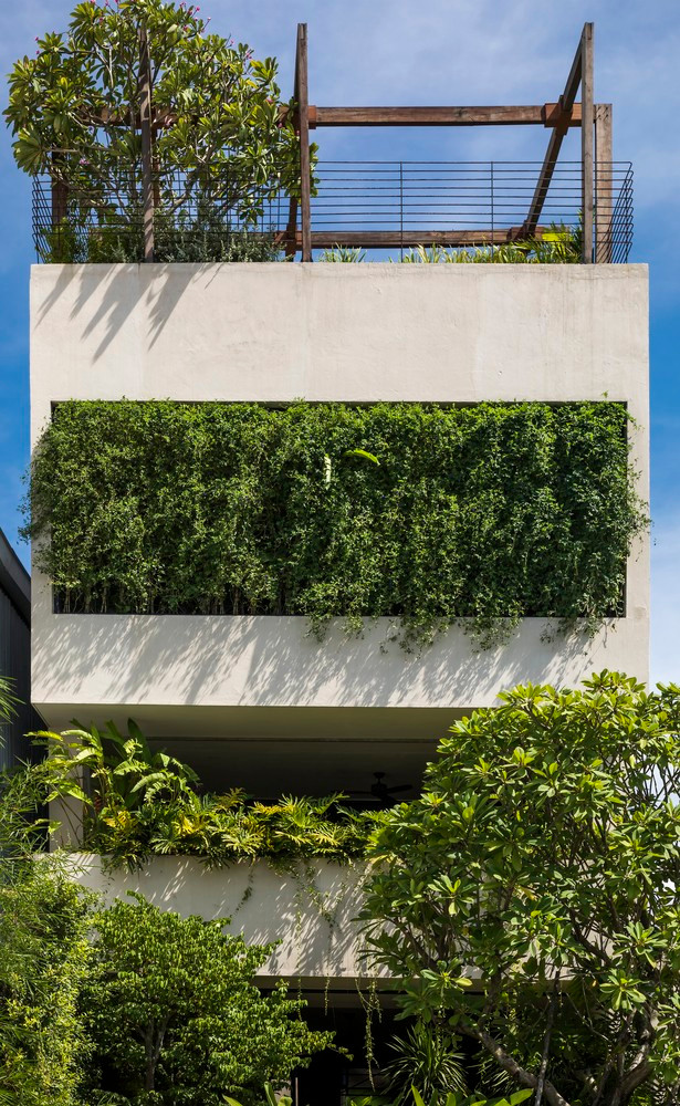 Man nhan khong gian xanh trong nha pho-Hinh-3