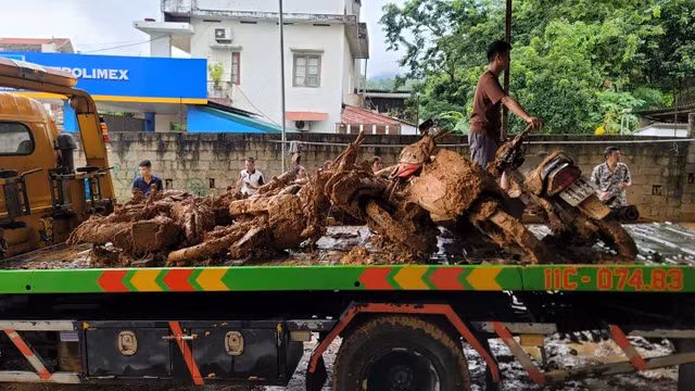 Đất đá sạt từ phía sau đồi đã vùi lấp nhà dân TP Cao Bằng, vùi lấp 6 xe máy và nhiều tài sản khác (Ảnh: Lê Duyên/vtv.vn)