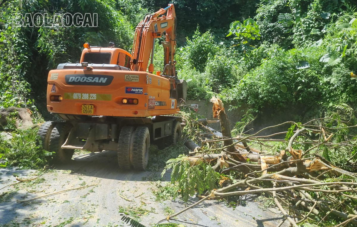 Mưa lớn kéo dài gây sụt lún, sạt lở đường giao thông, cây đổ gãy ở Lào Cai. Cơ quan Khí tượng - Thủy văn Lào Cai cảnh báo lũ cao, lũ quét, sạt lở đất có thể gây tác động đến môi trường, uy hiếp tính mạng của người dân, gây ách tắc giao thông, phá hủy các công trình dân sinh, gây thiệt hại sản xuất, hoạt động kinh tế - xã hội.