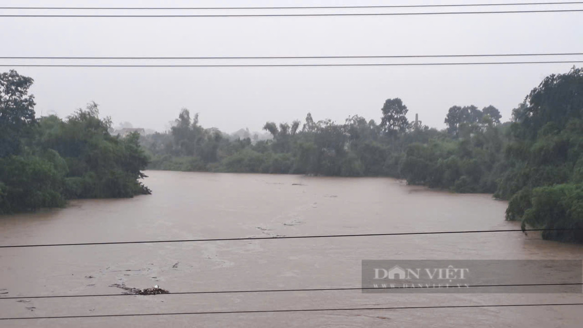 Mưa lớn khiến mực nước trên sông Cầu dâng cao khả năng xảy ra lũ và sạt lở bờ sông. (Ảnh: Hà Thanh)