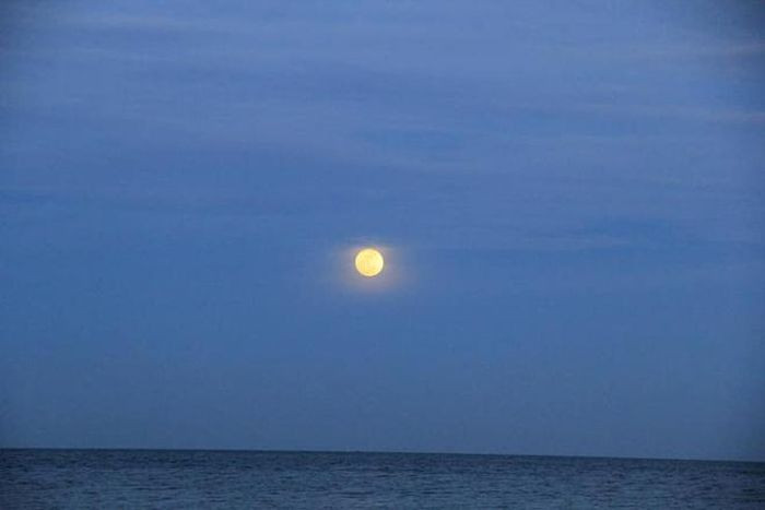 Hình ảnh siêu trăng xuất hiện trên vùng biển Vũng Tàu (Ảnh: Phạm Đài Thọ)