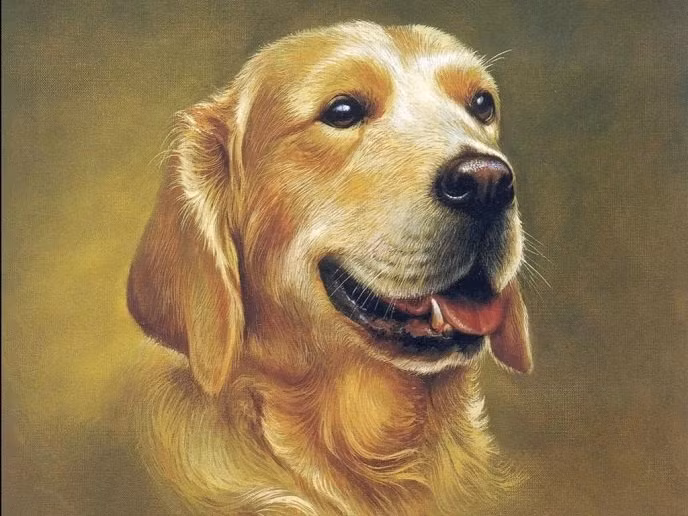 Năm 2022 là giai đoạn có nhiều chuyển biến với tuổi Tuất. Những tháng đầu năm, mọi việc đến với bản mệnh vẫn chưa được như ý. Nhiều người còn phải đối mặt với những khó khăn, bế tắc, khó tìm được đường thoát.